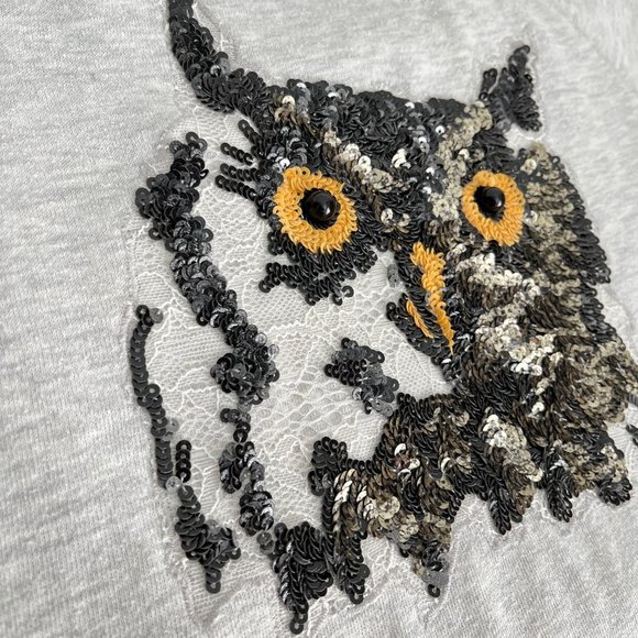 Express Cropped Sweater with Sequin and Lace Owl, Heather Gray/Cream, Size XS - Picture 3 of 14